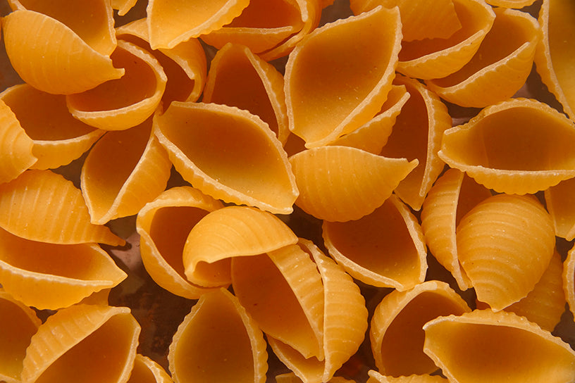 Conchiglie - pasta shells